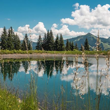 Hohe Salve über Salvensee