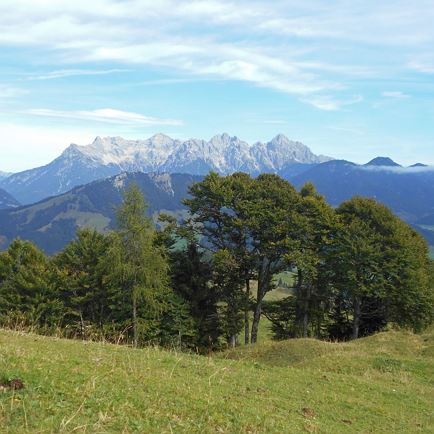 Mittelstation Streuböden - Wildalpgatterl - Jägersteig - Lärchfilzhochalm