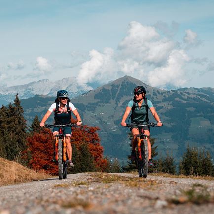 Glanterer-Kogel-Runde (MTB Route 294)