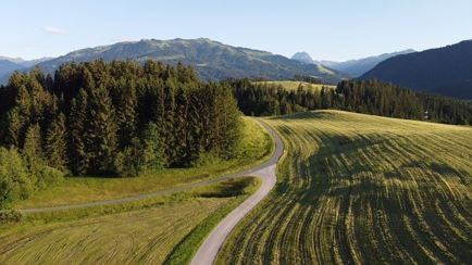 DJI_0585-7.jpg