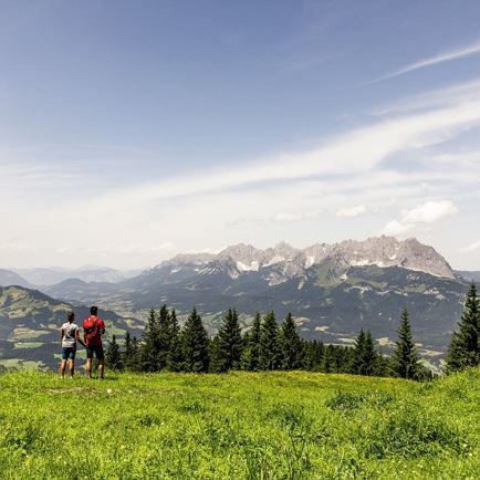 Müllneralm - Hochfeldtour