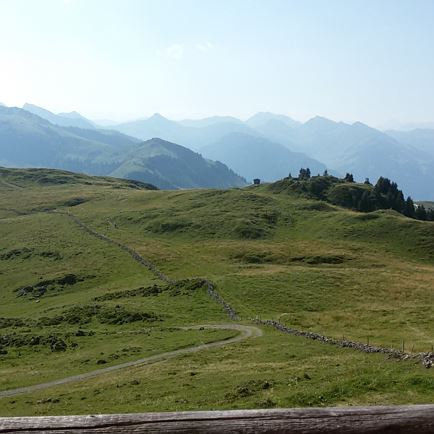 singletrail_rechts_vom_steinzaun_unterhalb_der_hornkoepflhuette.jpg