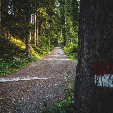 Wanderweg_Rauher Kopf_Kitzbüheler Alpen-Brixental_Mathäus Gartner (2019)_FULL22.jpg