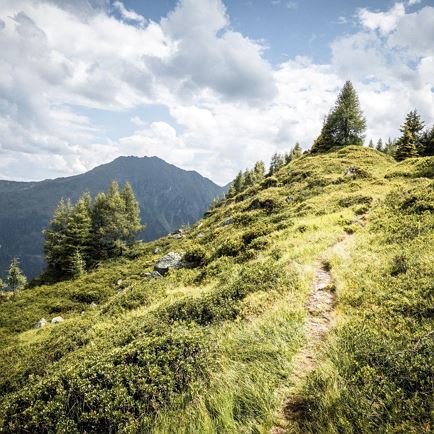 Spießnägel_Kitzbüheler Alpen - Brixental_Mathäus Gartner_FULL11.jpg