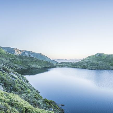 am unteren Wildalmsee in der Kelchsau - Schafsiedel@SM_10.jpg