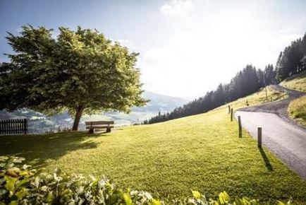 Zöpflweg-Brixen_Mathäus Gartner_201814 - Kopie.jpg