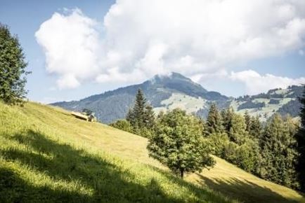 Schattseit - Runde in Brixen