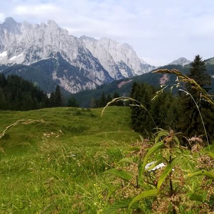 Schnappenstein Wilder Kaiser Blick 2.jpg