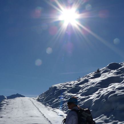 am Weg Lagfelden.JPG