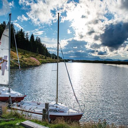 Landschaft_Jochstubensee_Sommer2020_Martin Lifka (1)_72dpi.jpg