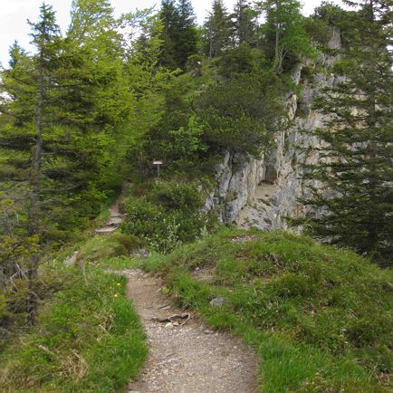 Katzeneck - Buchensteinwand