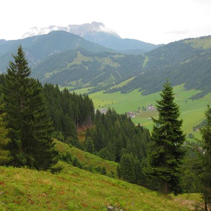 St.Jakober Höhenweg