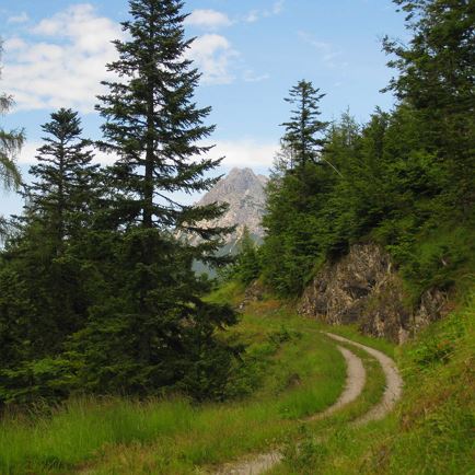 St.Jakober Höhenweg