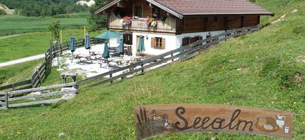 griessner_seealm_am_radweg.jpg
