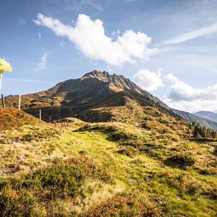 Kleiner Rettenstein_Kitzbüheler Alpen_Mathäus Gartner (2018)02.jpg