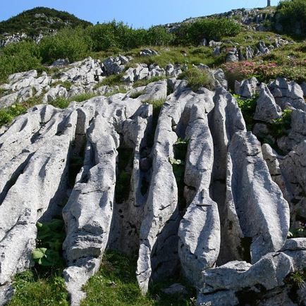 Triassic Trail Trockenriff.jpg