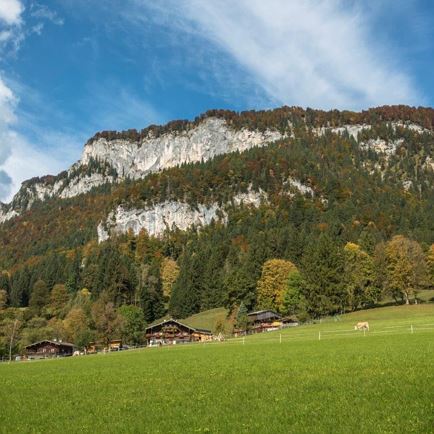 408-17 FRANZGERDL REG St-Johann _2328.jpg