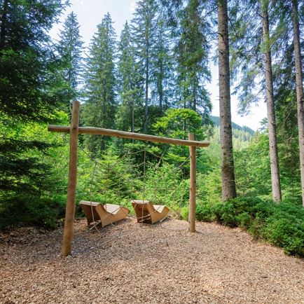 Wald Themenweg am Steinberghaus