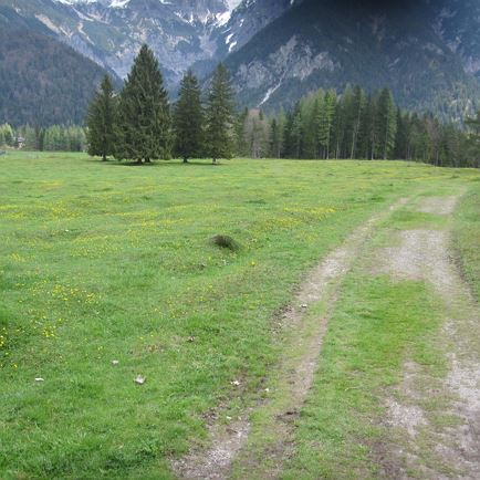 Weilerrunde