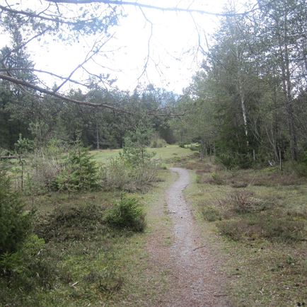 Weilerrunde