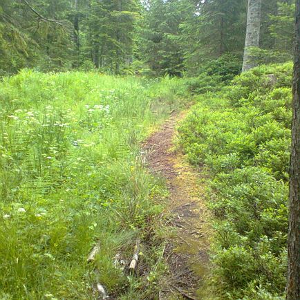 Weitentalweg