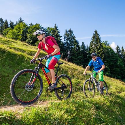 Mountainbikes