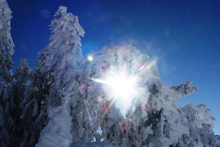 Wintersonne