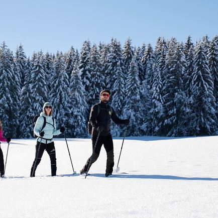 Winterwanderweg - Penninger Runde